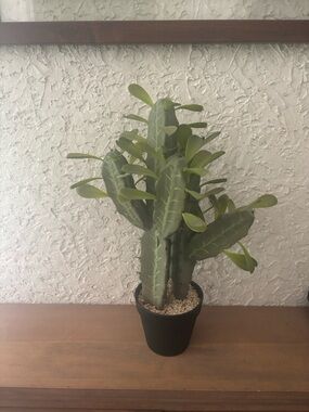 18” Faux Potted Cactus Plant